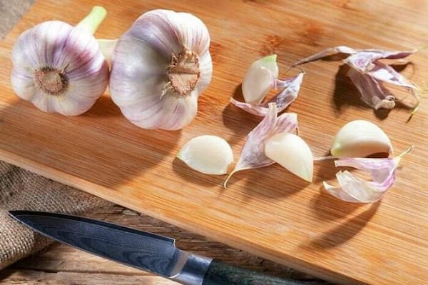 تصویر 4 از خرید و فروش سیر طارم با شرایط فوق العاده